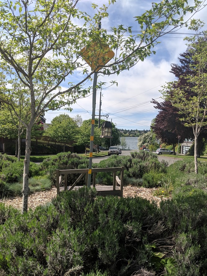 Traffic circle green space seating with a view