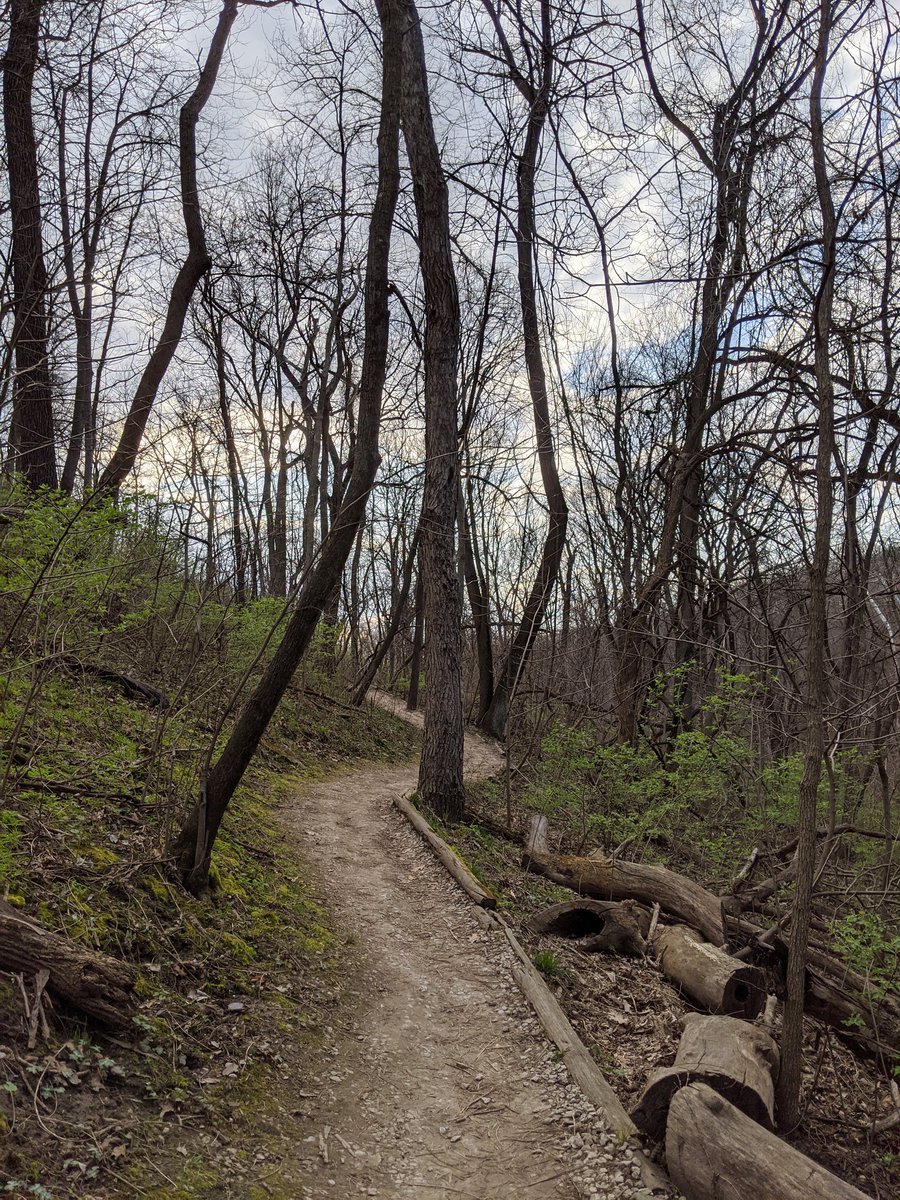 David Henderson tweet media