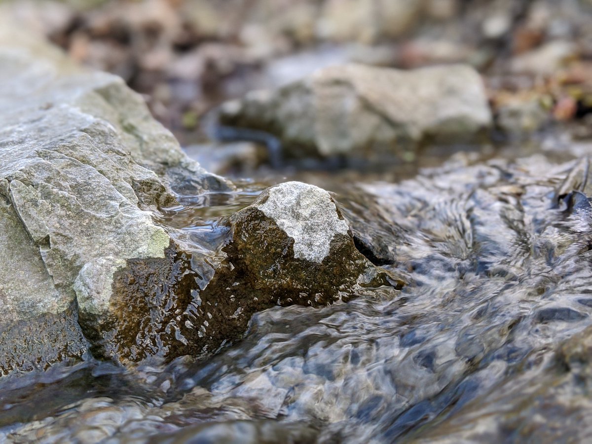 David Henderson tweet media