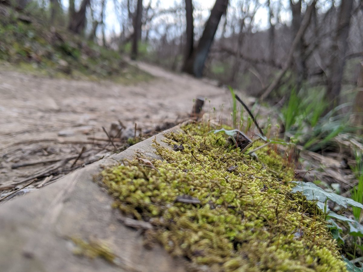 David Henderson tweet media