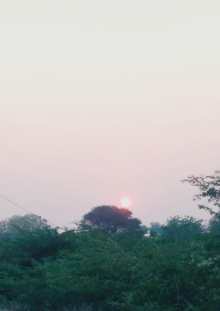 sathish0369's tweet photo. Ideas are worth nothing unless backed by application the smallest of implementations is always worth more than the grandest of intentions....✌♥️💙

#FridayThoughts #ModiVideoMessage #WorldBank #development #selfhelp #Entrepreneurs https://t.co/iuadD31oUb