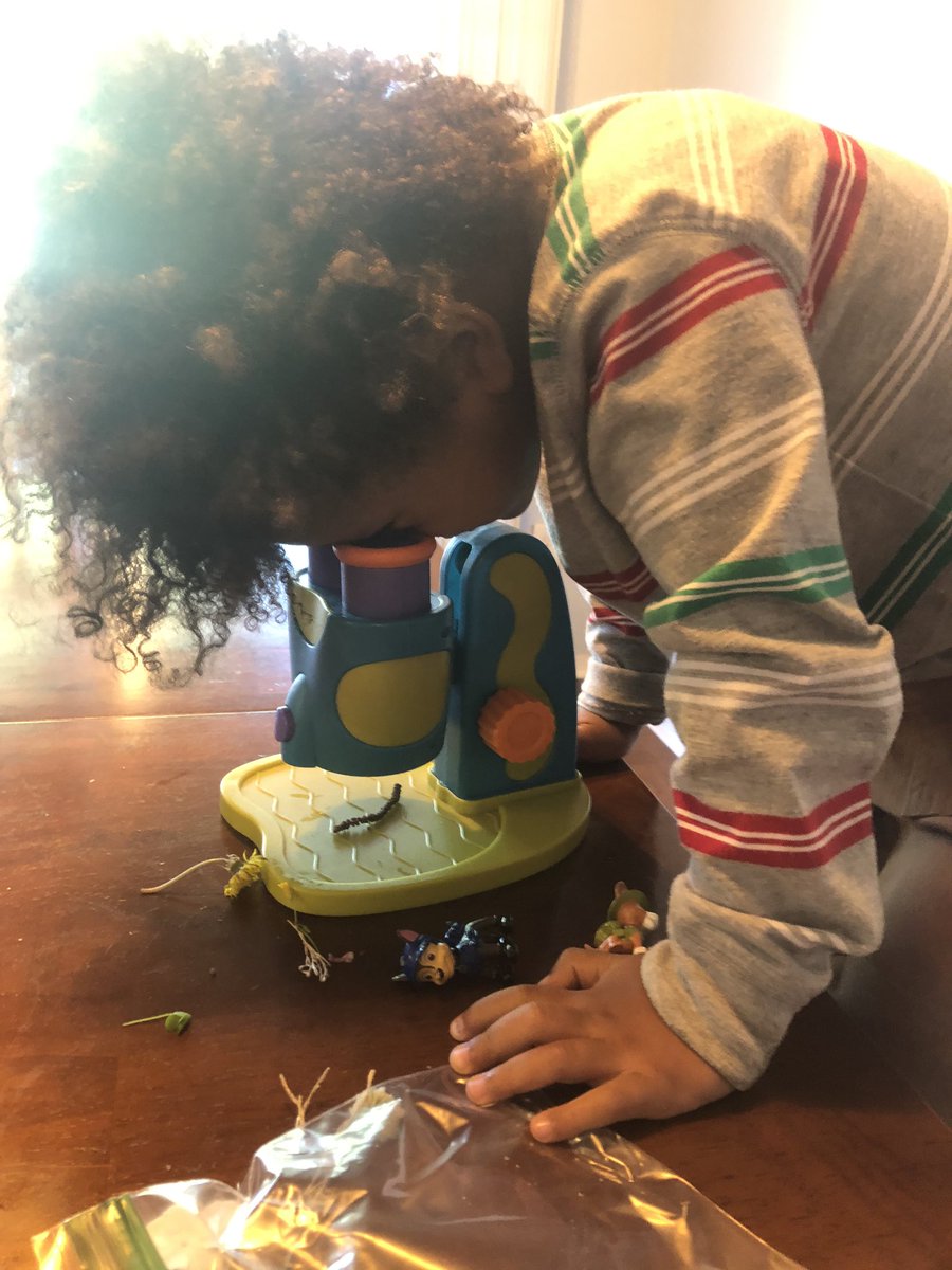 ReneeLWhite5's tweet photo. My littlest was Mr. Scientist today! Testing different slopes for his car track & collecting & checking out tons of tiny pieces of nature in the microscope. He also enjoyed making some more shape art animals with @Seesaw . #preschool #HAWKSsoar #JrHawk #W3ringcircus #COVIDー19 https://t.co/dULmqfrFoY