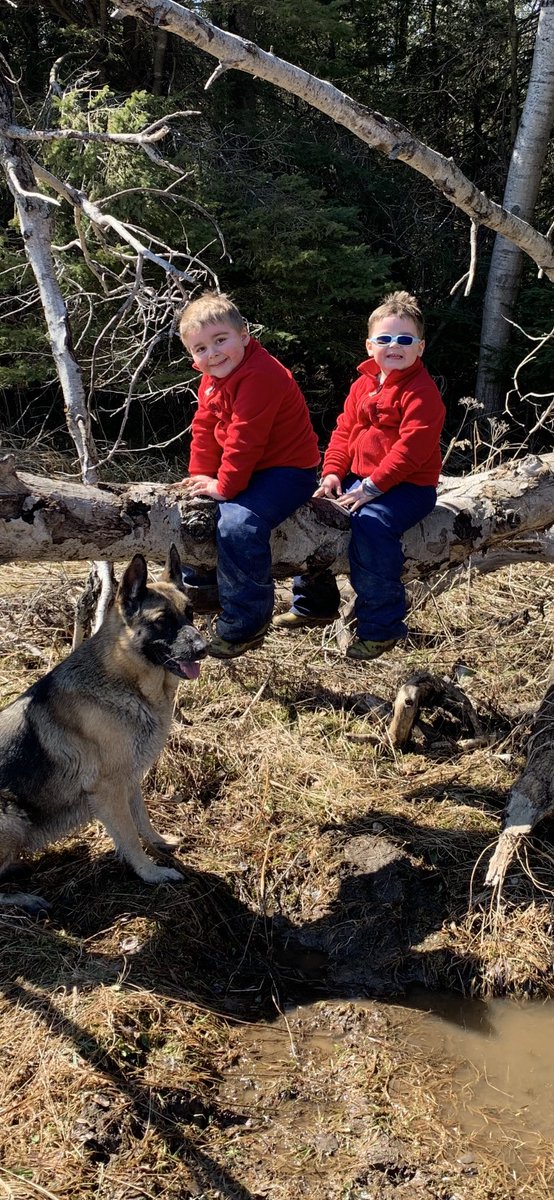 ashdyce's tweet photo. It’s been a super awesome couple days of “ventures”(adventures). The boys and Marlee have never been happier. Living in the country during this self distancing thing is a blessing and I’m thankful for the sun #tysonandthomas #marleemay #mylifewithatree #venturesfordays #happymom https://t.co/POt9dWuytR