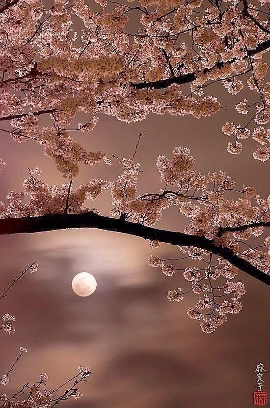 BootsieBoutique's tweet photo. From ANGELIC.❣️
@Angelic82324893 https://t.co/zWYXCwMgUh
