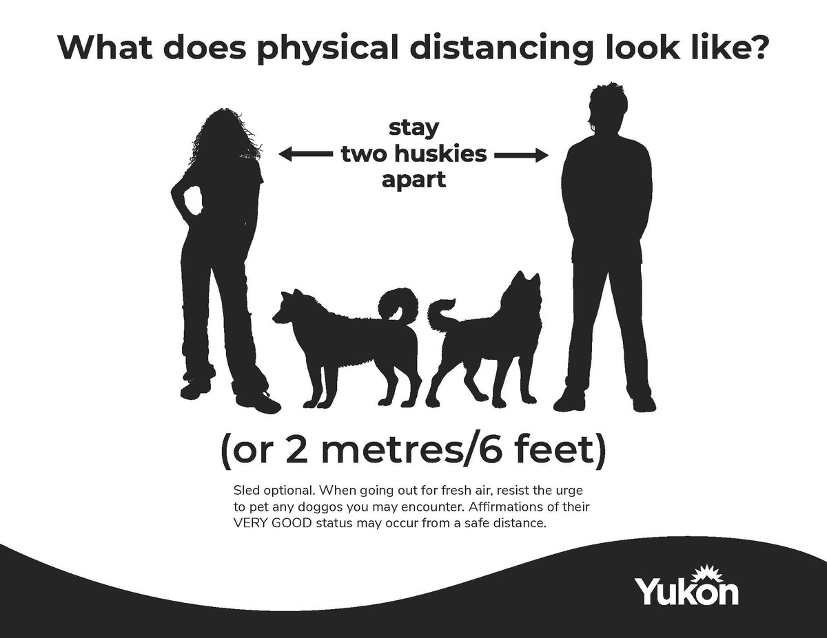 jnovakowski_'s tweet image. And another visual from the @yukongov - What does two metres look like? It's about two husky lengths.