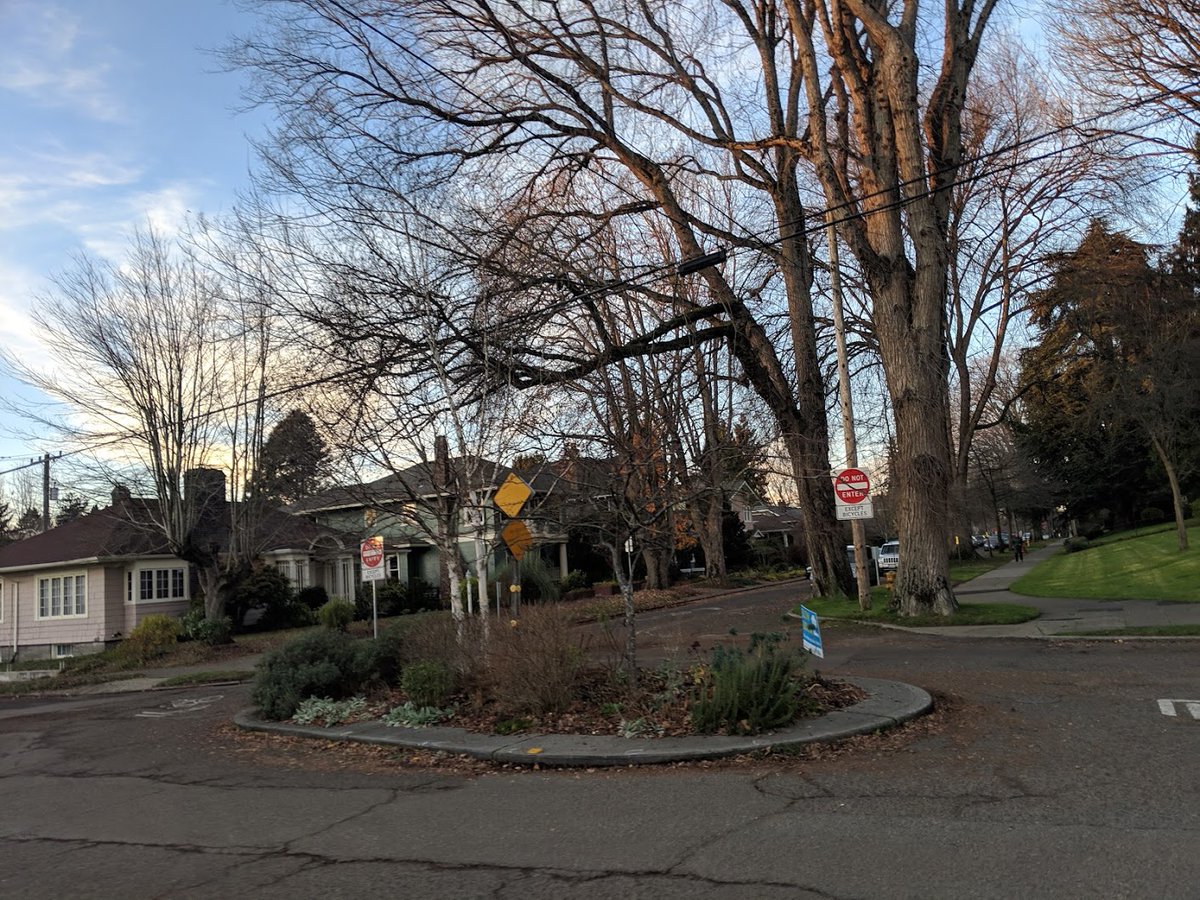 Traffic diverter circle/oval goodness