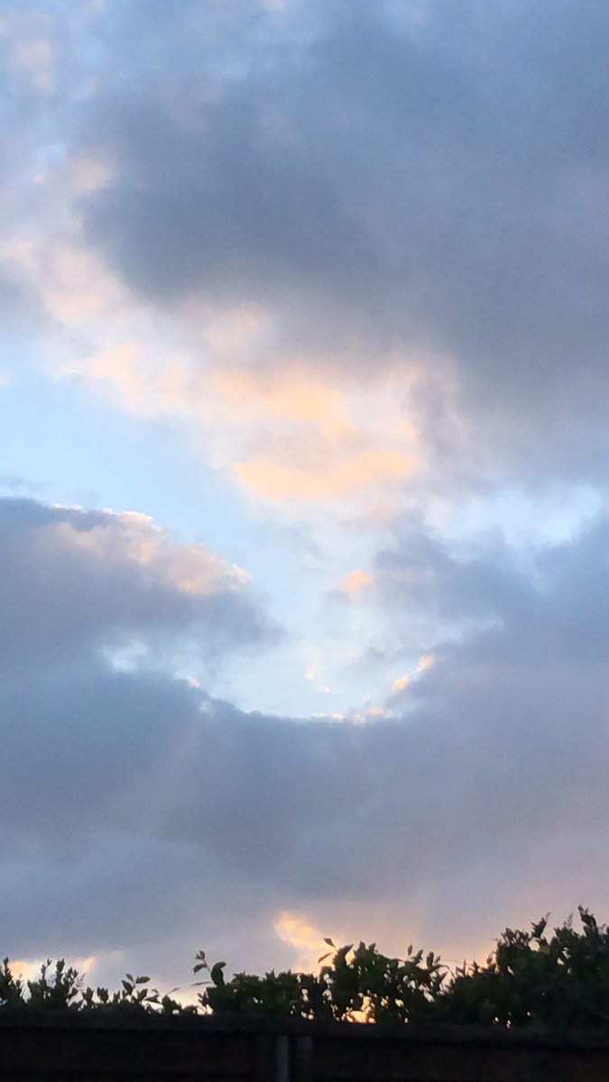 damdaniellll's tweet image. hows quarantine?