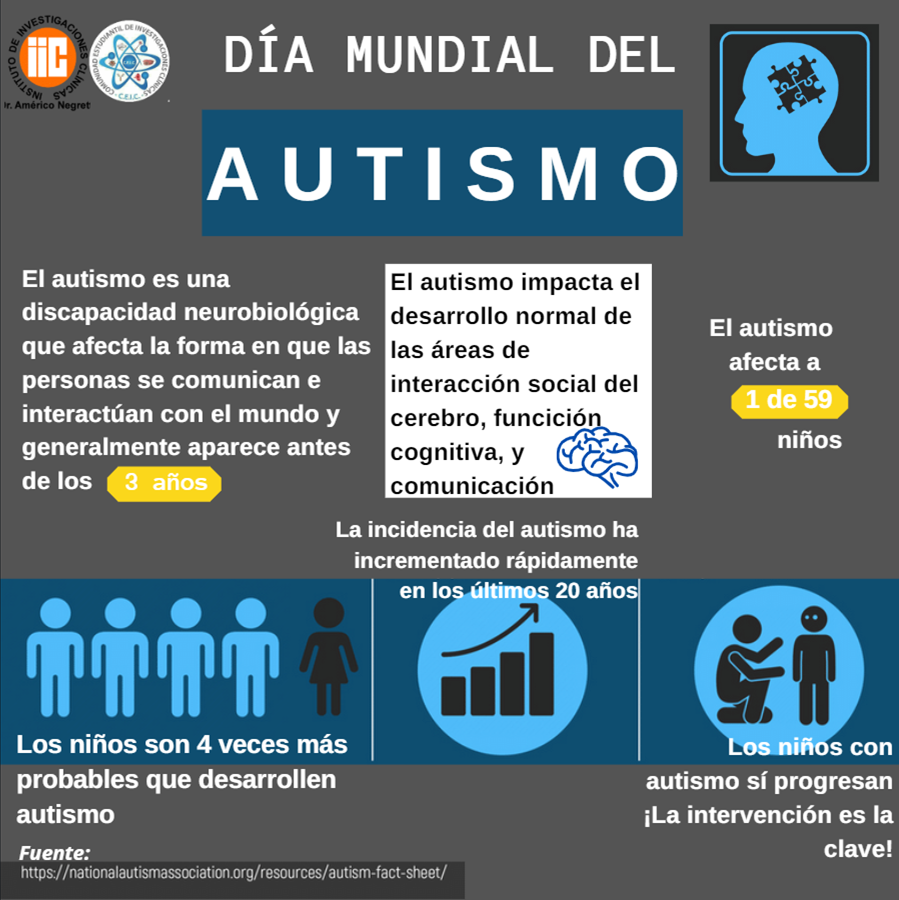 CEIC_IIC's tweet photo. En las mujeres, cuando uno de los genes NLGN4X tiene una mutación, el otro a menudo puede compensarlo. Sin embargo, en los hombres, las enfermedades pueden ocurrir cuando hay una mutación en NLGN4X porque no hay compensación de NLGN4Y. https://t.co/V8sOUSBwrm
