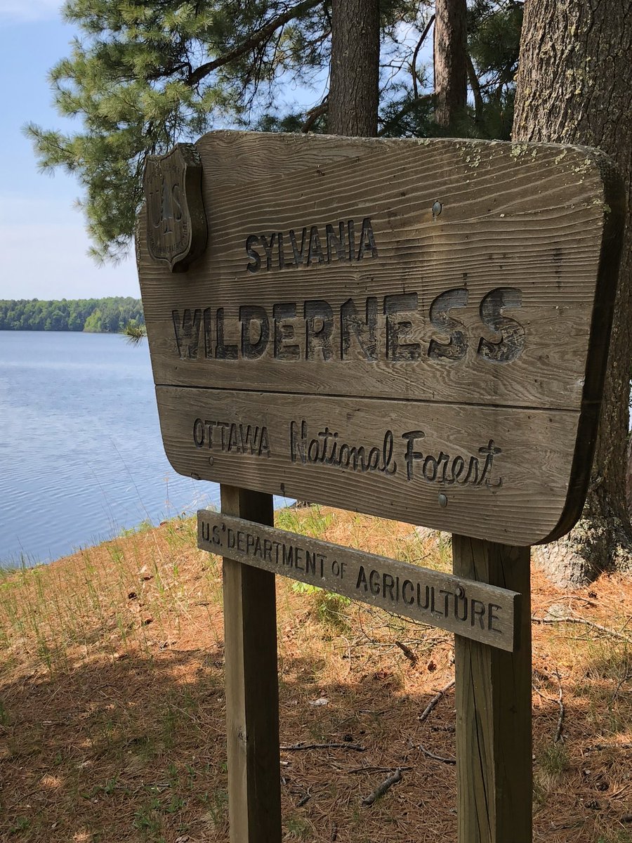 Special shout out to our national forests! Canoeing and fishing throughout Sylvania Wilderness, MI was such a great memorial weekend trip.