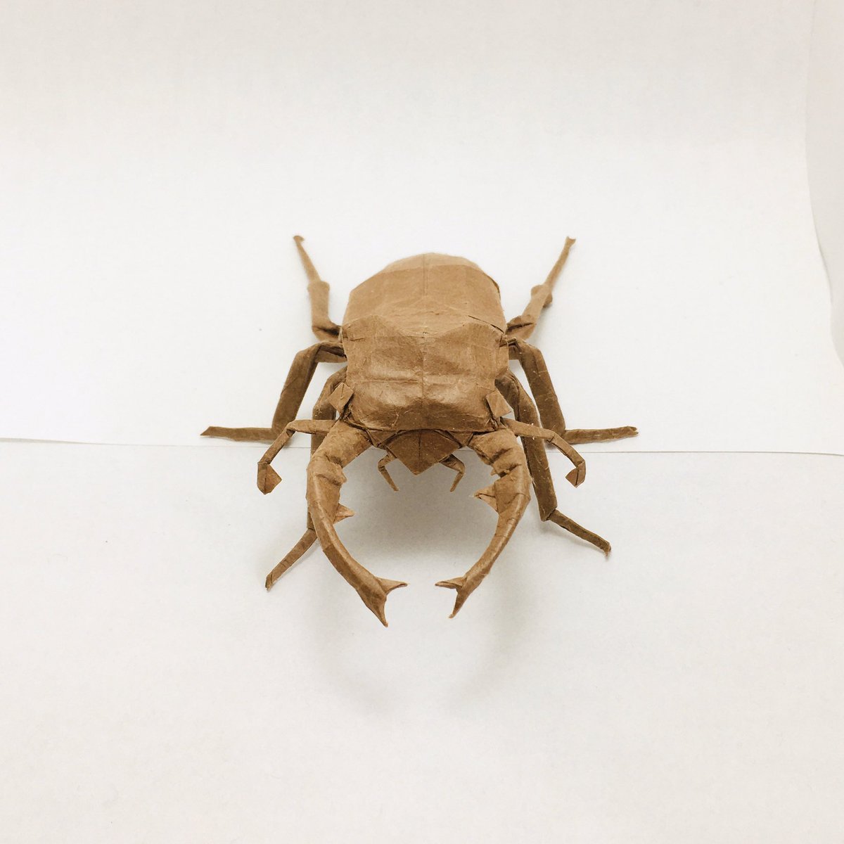 すぎぽよ Sさんのヨーロッパミヤマクワガタ Lucanus Cervus Designed By Tuok3110 35cm雁皮紙より From One Sheet Of Square Paper これもまた仕上げが難しいです 大顎はもっと変えたい 何か違うんだよなあ でも圧倒的リアルさで 完成させるのは