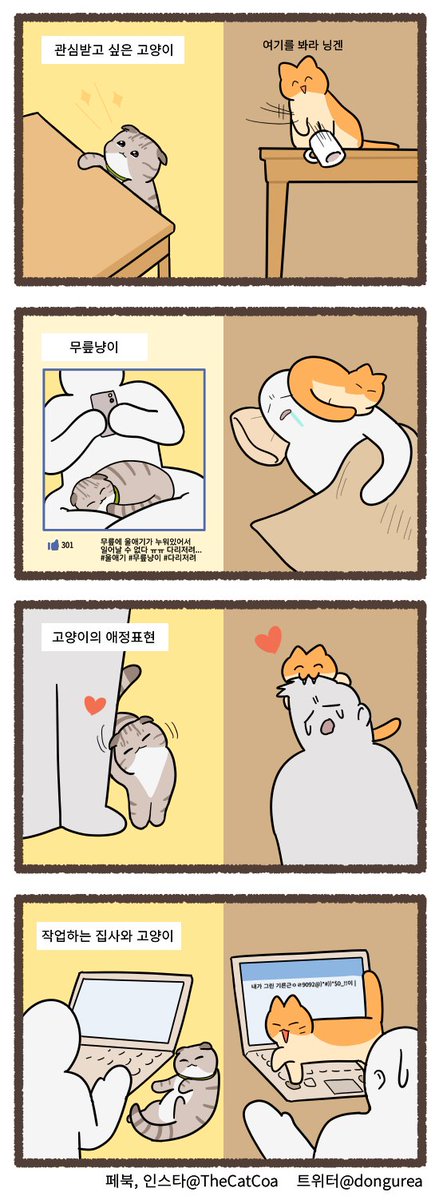 고양이 이상과 현실. 느그 고양이 vs 우리 고양이 