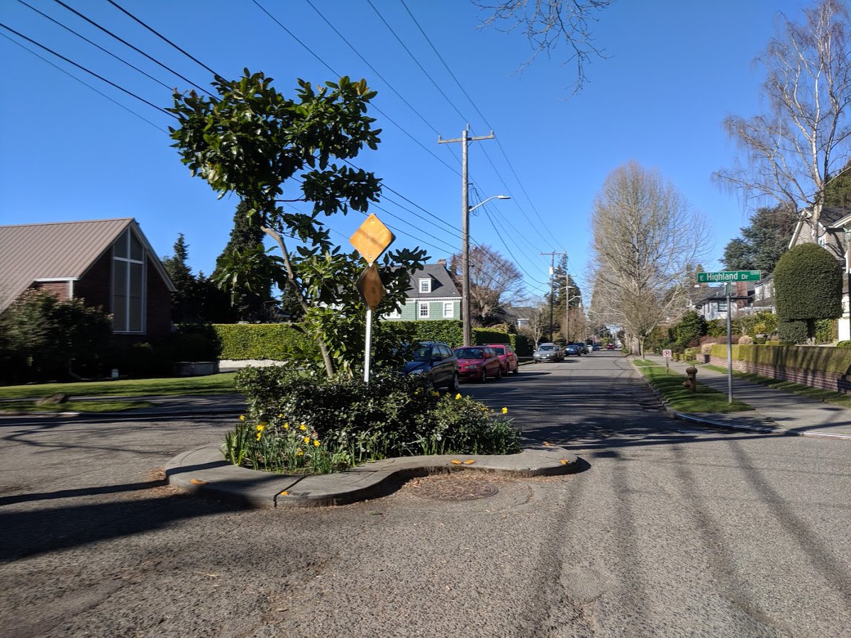 Add soil, water, and greenery to your traffic amoeba.