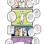 猫ちゃんからの大切な教え。「にんげんがこれからたたかう３つのモノ」。たしかにそうだなと納得します。