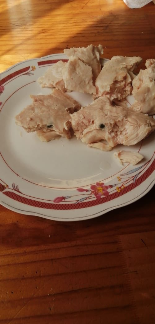 Jvpedromontt2's tweet image. Impresentable!! Como directiva recibimos el reclamo de vecina #Castro productos de cajas junaeb  se encuentran en mal estado. Deberían implementar modalidad Tícket Sodexo y no entregar millonarios pagos a empresas. @Contraloriacl @EquipoJUNAEB @Int_LosLagos @ministeriosalud