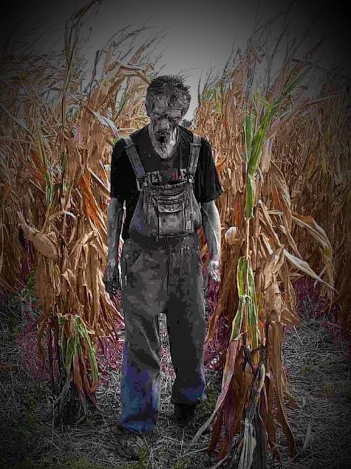 horrorvlog's tweet image. An Interview with a Walker horrorsurvival.com/an-interview-w…
