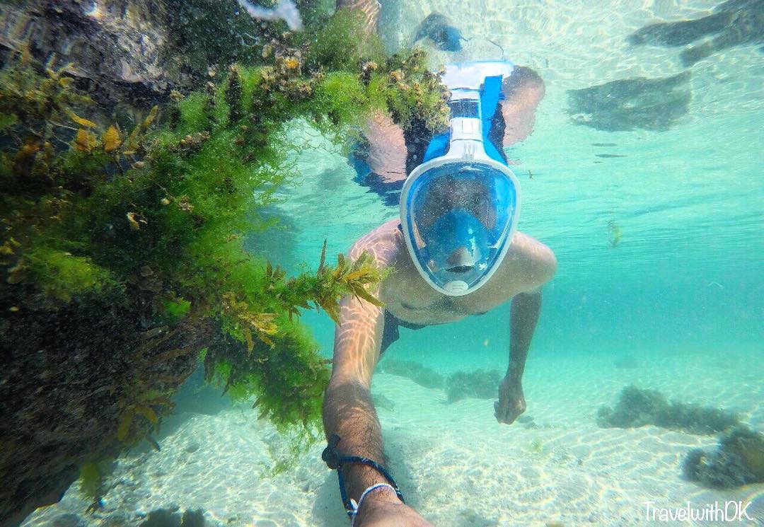 ceylontourist's tweet photo. The sea! the sea! the open sea!, The blue, the fresh, the ever free!
#travelwithDK #exploresrilanka #underwater #ceylon #ceylonbest #srilanka #travellife #wanderlust #travelphotography #talpe #alienbeach #sea #ocean #ceylontourist #visitSrilanka https://t.co/HsBwf420y6