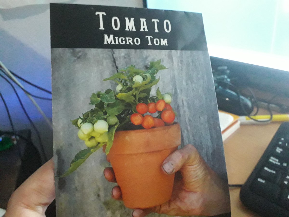 yoski_soulnova's tweet photo. #gardening #tomato #microtom https://t.co/KtHk9q4k2j
