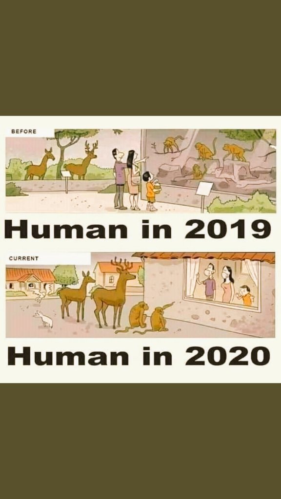ahpurohit's tweet photo. #HUMAN2019 #HUMAN2020
@jaggu_purohit @vikasbhaABP @Vikas_purohit89 @swamidipankar @KapilMishra_IND @RubikaLiyaquat @TajinderBagga https://t.co/73rEfkJCUW