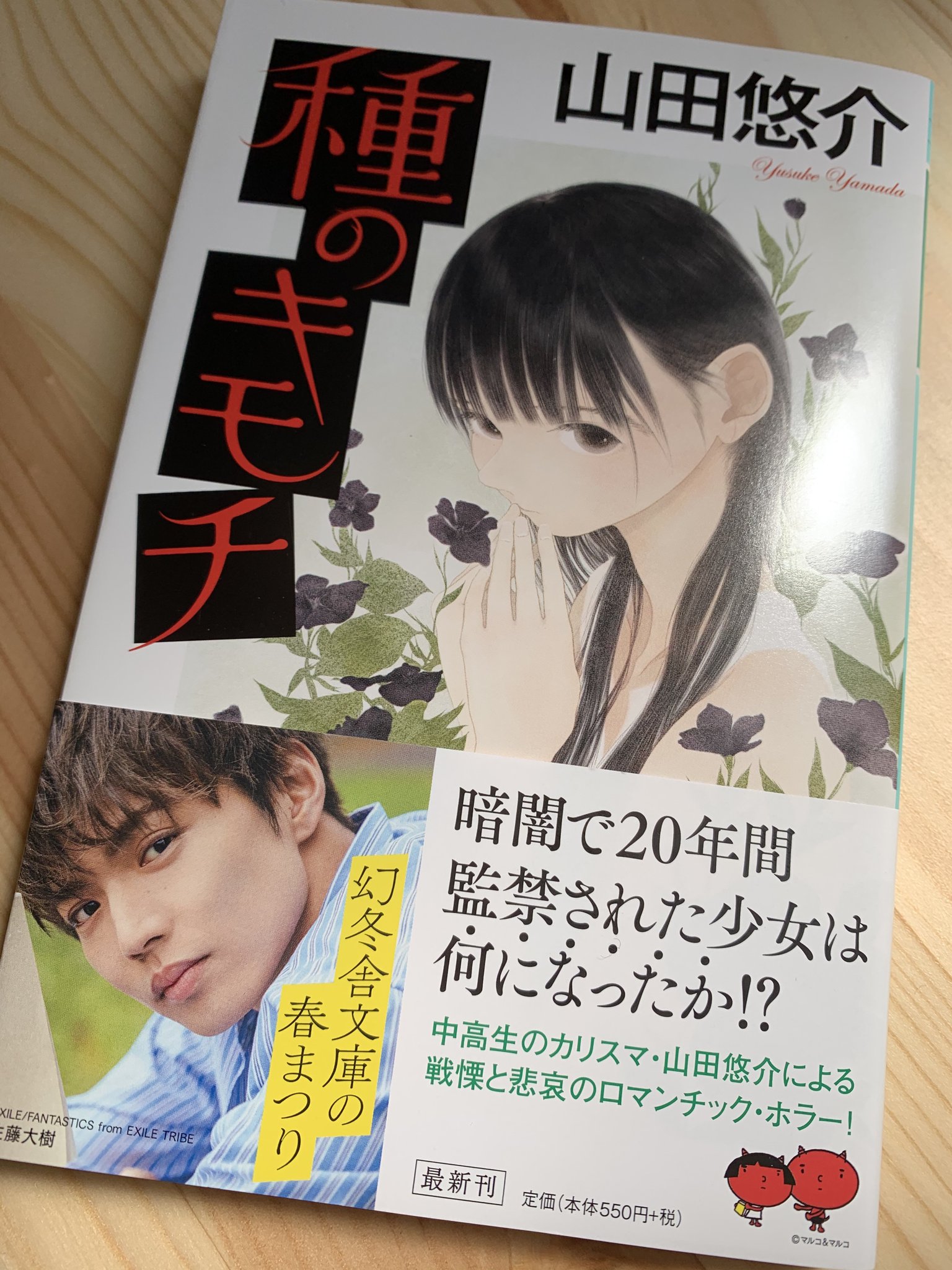 12stairs 幻冬舎文庫様 山田悠介先生 種のキモチ 装画を担当させて頂きました 4月8日発売予定です よろしければ是非書店にてお手に取ってみてください