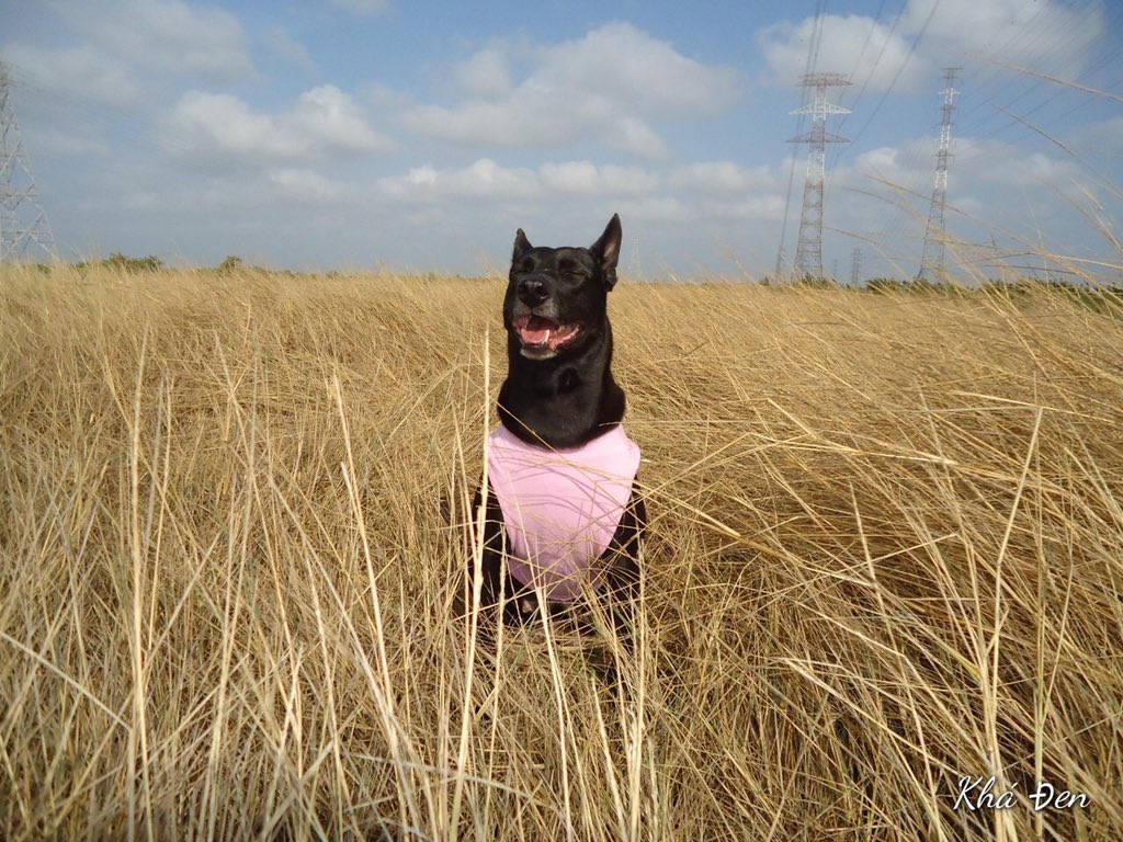 Morning to all Twitters