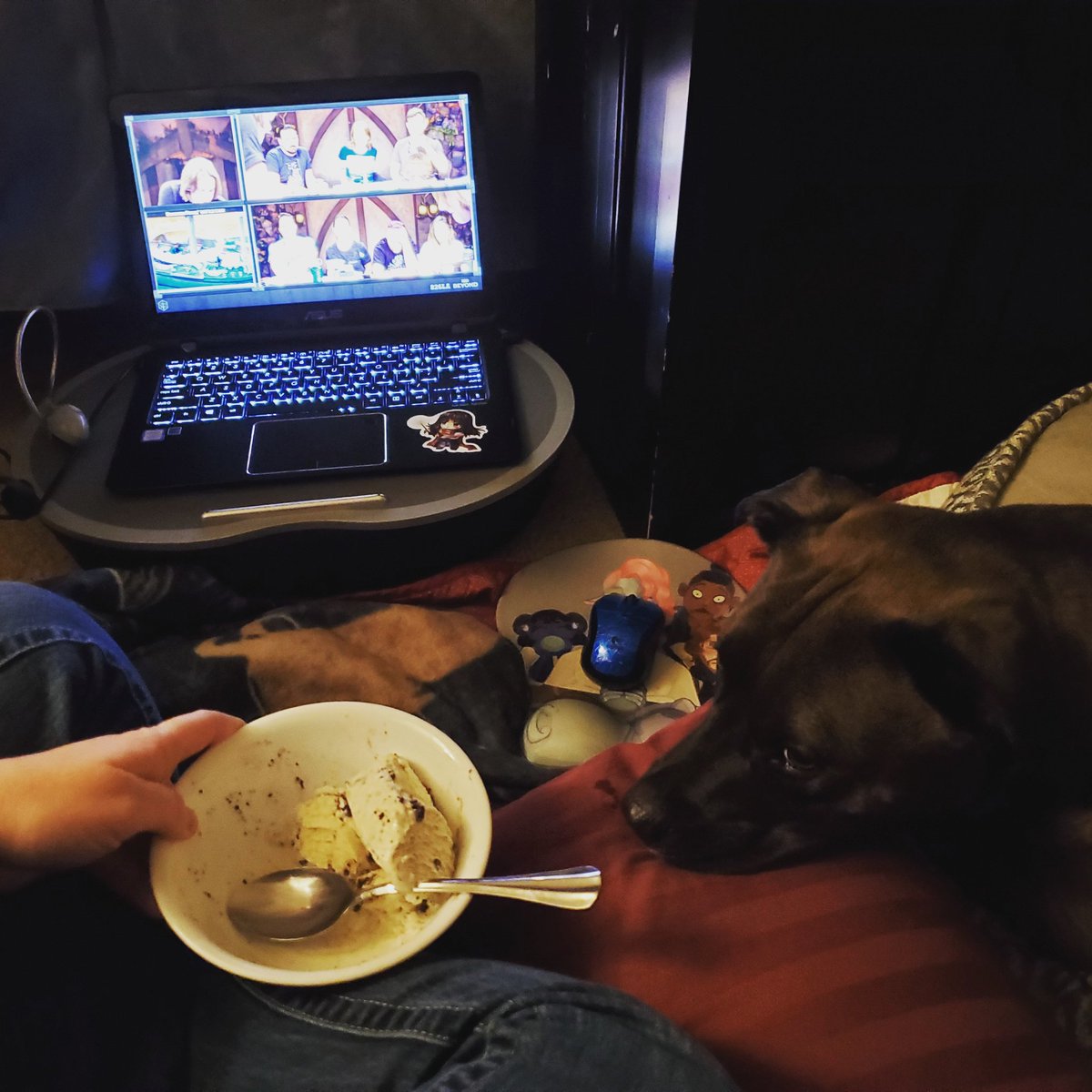 sullylady94's tweet photo. Sometimes you just have to hide from the world with a quarantine approved friend, ice cream, and Critical Role in the pillow fort you made after doing your taxes

#CriticalRole #quarantine #AdultLife #SlowDown

@CriticalRole https://t.co/M2q1nNcyjd