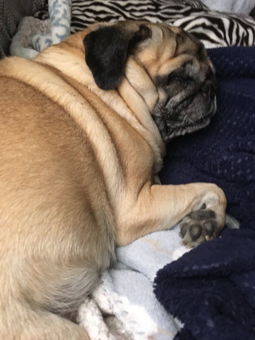 My Baby https://t.co/47SxK56UzJ<a href="/tag/meme"class="tags"><span>#meme</span></a><a href="/tag/salty"class="tags"><span>#salty</span></a><a href="/tag/2020worstyear"class="tags"><span>#2020worstyear</span></a>