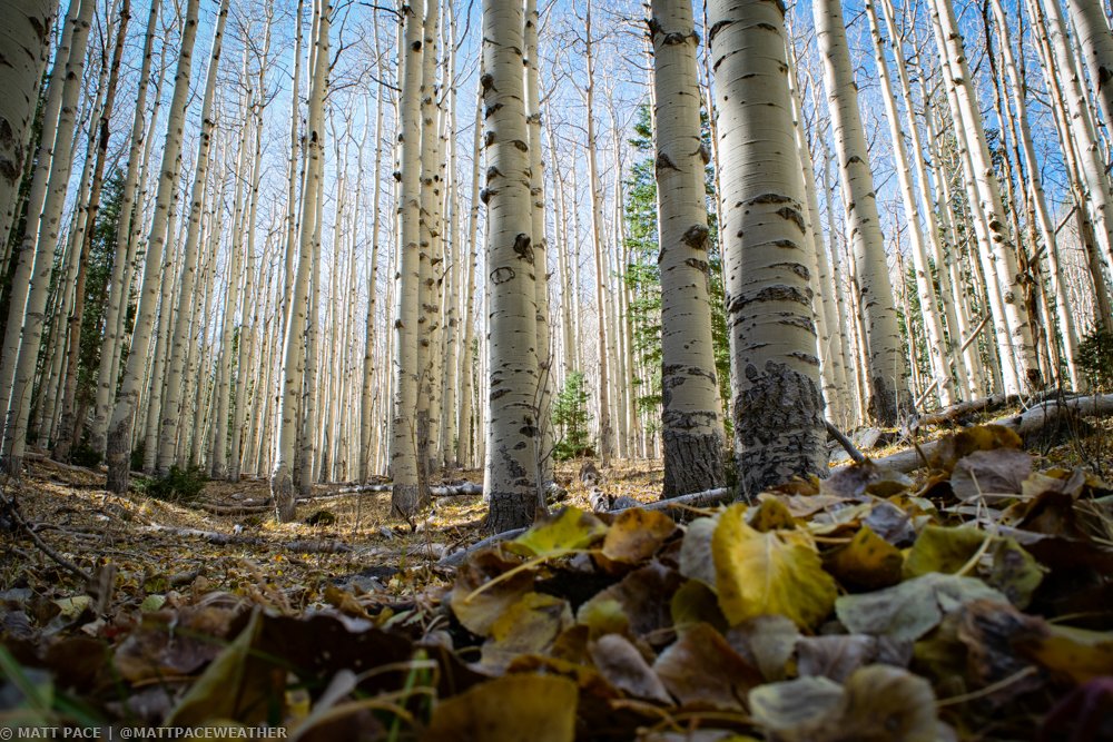 WeatherChitChat's tweet photo. Use your imagination as we head to #LockettMeadow as our #digitalvacation continues! All the leaves had fallen off when this photo was snapped, but still incredible views. (Hour 8/16) https://t.co/AIc8ttMo4I