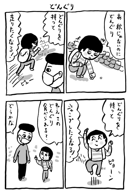 どんぐり 