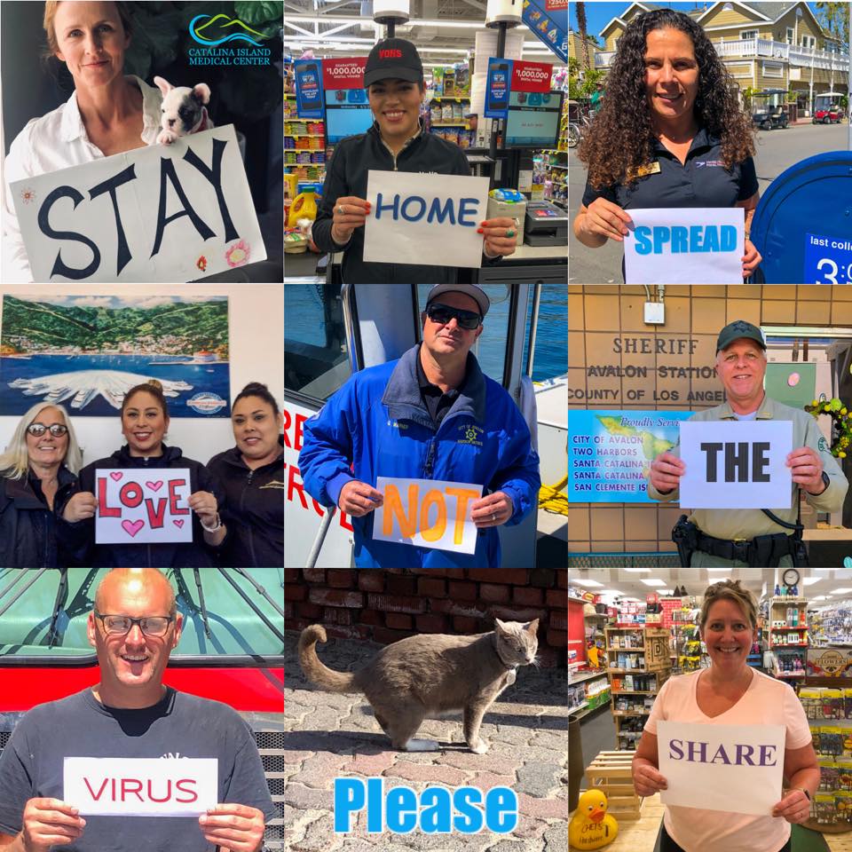 lasd_hocking's tweet photo. Thank you Avalon Chamber for putting this photo collage together. Catalina Essential @AvalonGov Pictured: Catalina Island Medical Center, Vons, US Postal Service, Catalina Express, Avalon Harbor Patrol, Avalon Sheriff's Station, City of Avalon Fire Dept, Chet's Hardware https://t.co/hF2E7z1mUM