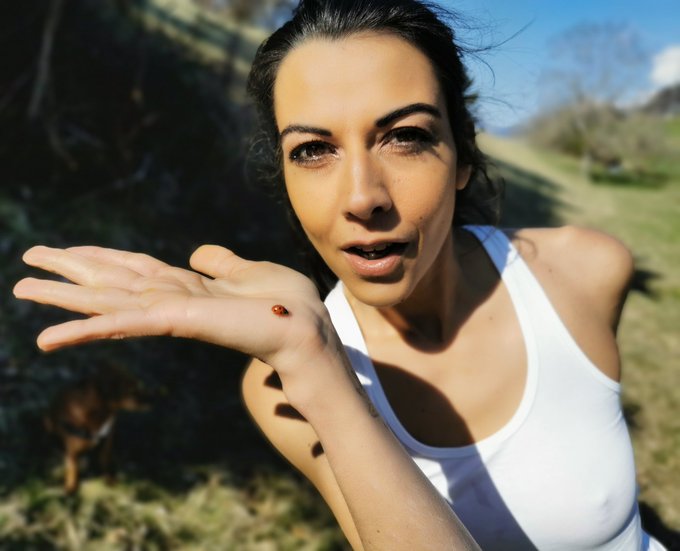 Une b&ecirc;te &agrave; bon Dieu ☺️ #ladybug #coccinelle https://t.co/qzfG5lrFgR<a href="/tag/ladybug"class="tags">#ladybug</a><a href="/tag/coccinelle"class="tags">#coccinelle</a>