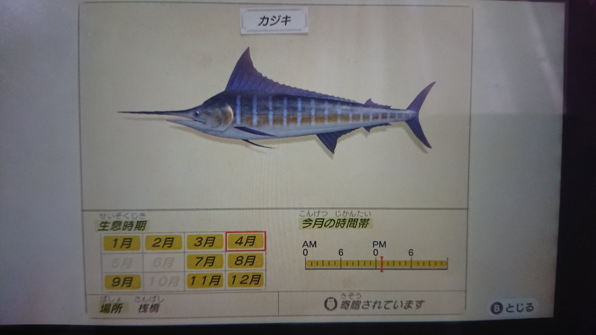 あつ森カジキ Twitter Search Twitter