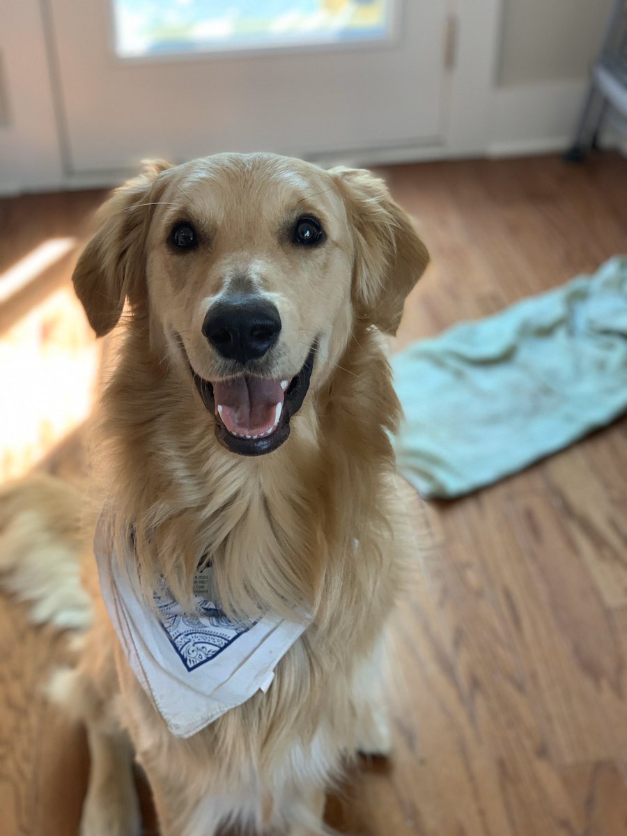 Opie just wanted to say he hopes you are  healthy and SAFE and following the rules of distancing closely. Oh! And to tune in to the <a href="/opry/">Grand Ole Opry</a> this weekend cuz me and <a href="/TerriClarkMusic/">Terri Clark</a> and <a href="/Lauren_Alaina/">Lauren Alaina</a> are gonna do some tunes (6ft apart).