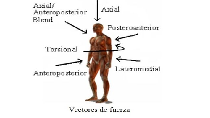 Mundo Entrenamiento ® tweet media