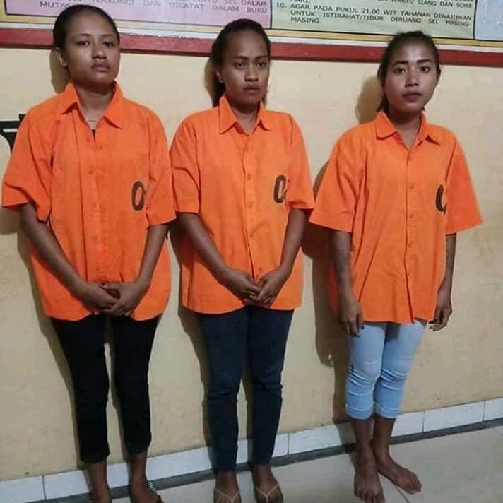 Pemuas Janda Manokwari💕 tweet media