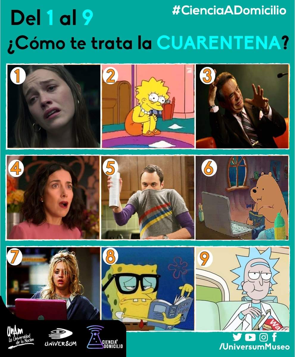 UniversumMuseo's tweet photo. Y a ti, ¿cómo te trata? 👇 https://t.co/pLJChWF6Dg