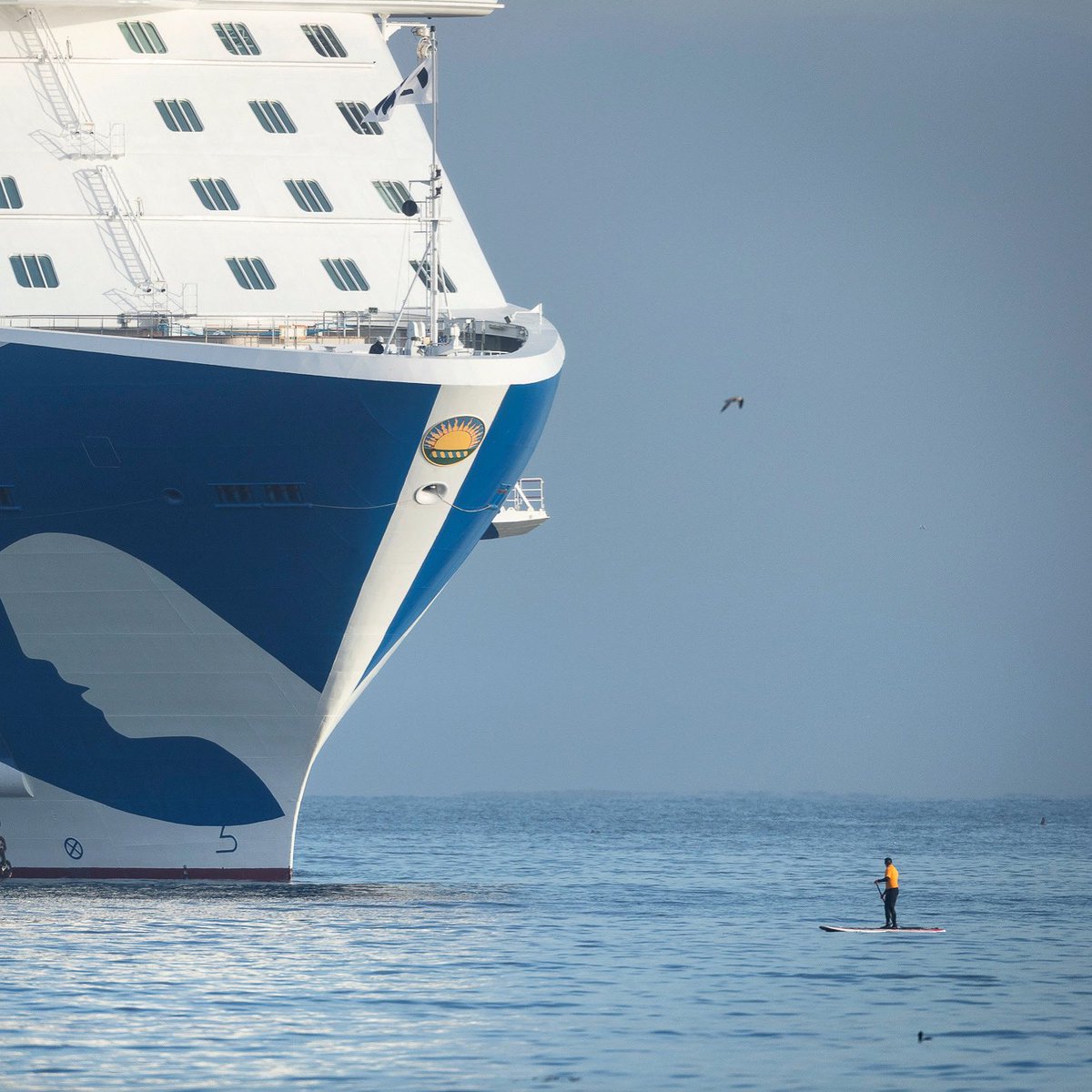 brentoutside's tweet photo. @brentoutside #protectmontereybay Cruise Ships don’t belong in a national marine sanctuary . #standupaddle #ClimateStrike #coronavirus https://t.co/TmvCEl7fBi