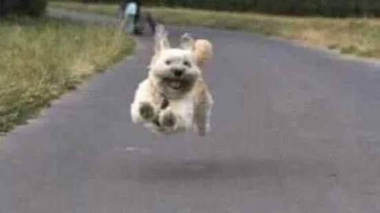 تميل المرأة للرجل خفيف الدم وتعشق الوسيم الملتحي، وتحب كثير الكلام ، وتنبهر بالمثقف 
حتى يأتي الأصلع صاحب الشركات فيلغي كل ما سبق🌚😂😂