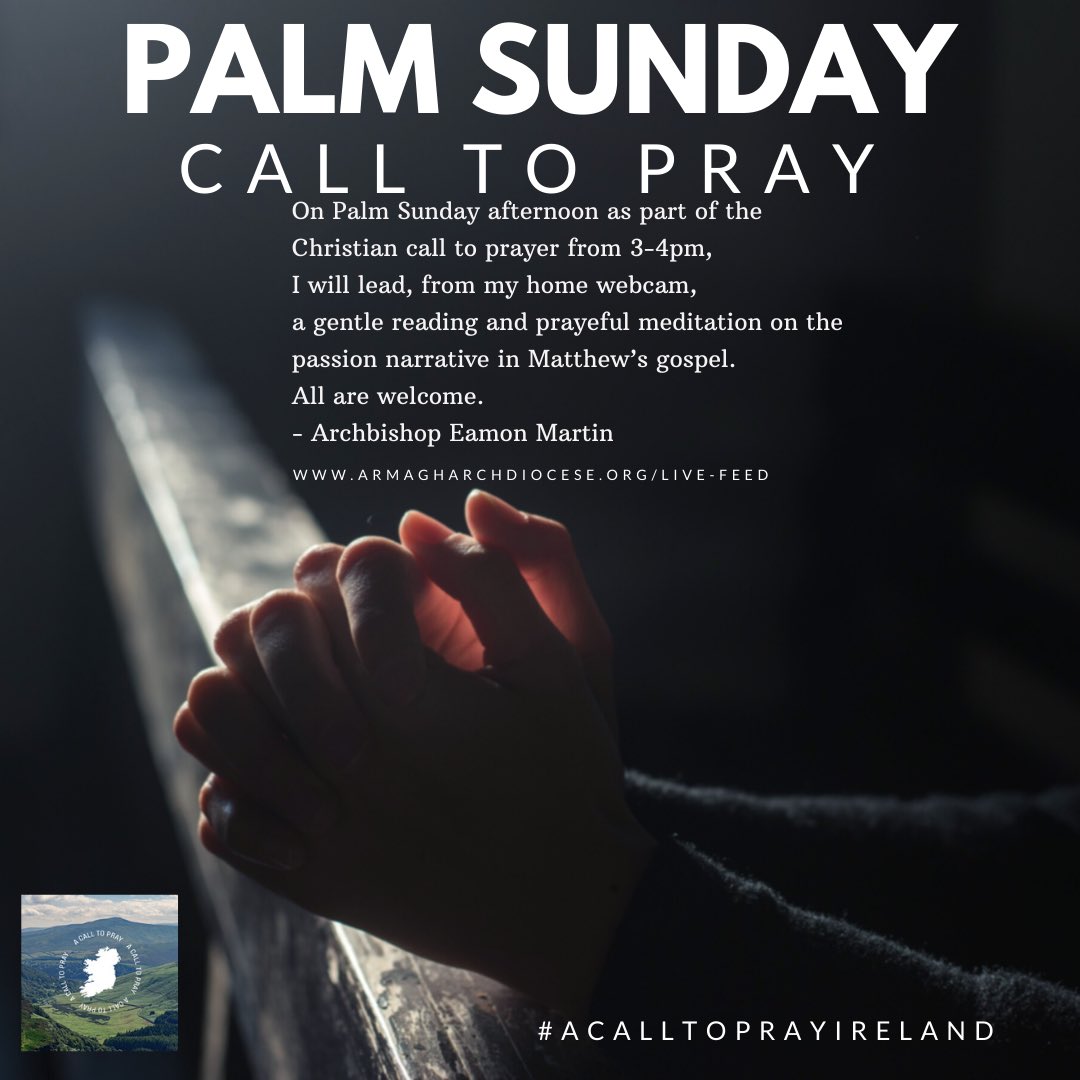 ArchbishopEamon's tweet image. On Palm Sunday afternoon as part of the Christian call to prayer from 3-4 pm I will lead, from my home webcam, a gentle reading and prayerful meditation on the passion narrative in Matthew&apos;s gospel. All are welcome.