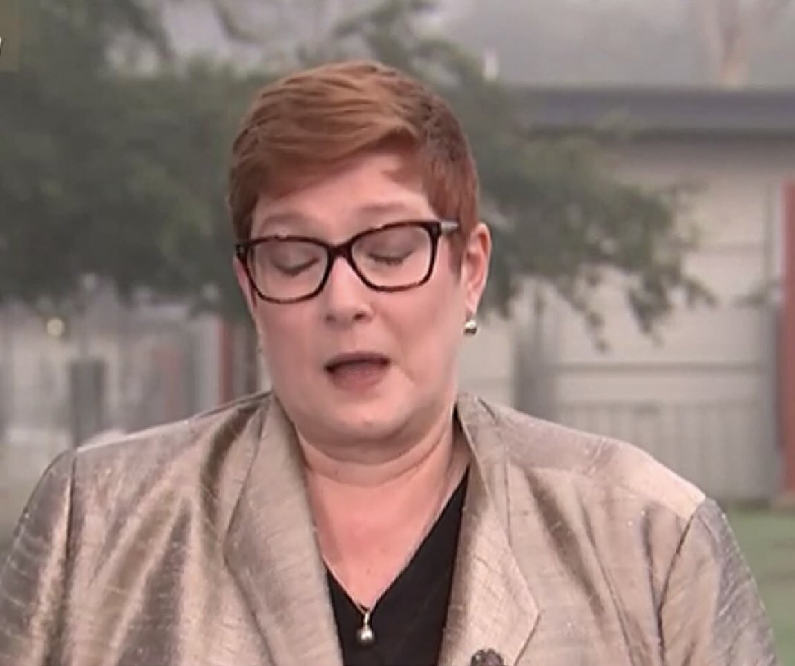 SaraJade_13's tweet photo. Marise Payne shrugs &amp; eye blocks when asked on ABC “ Who was to blame allowing..those passengers off the Ruby Princess?”
“Peter Dutton accused the ship's operator..of lying to authorities about...health of passengers. “
BL Eye Blocks distasteful. Shrugs ‘I give up I don’t  care.’ https://t.co/uhCzObxm8g
