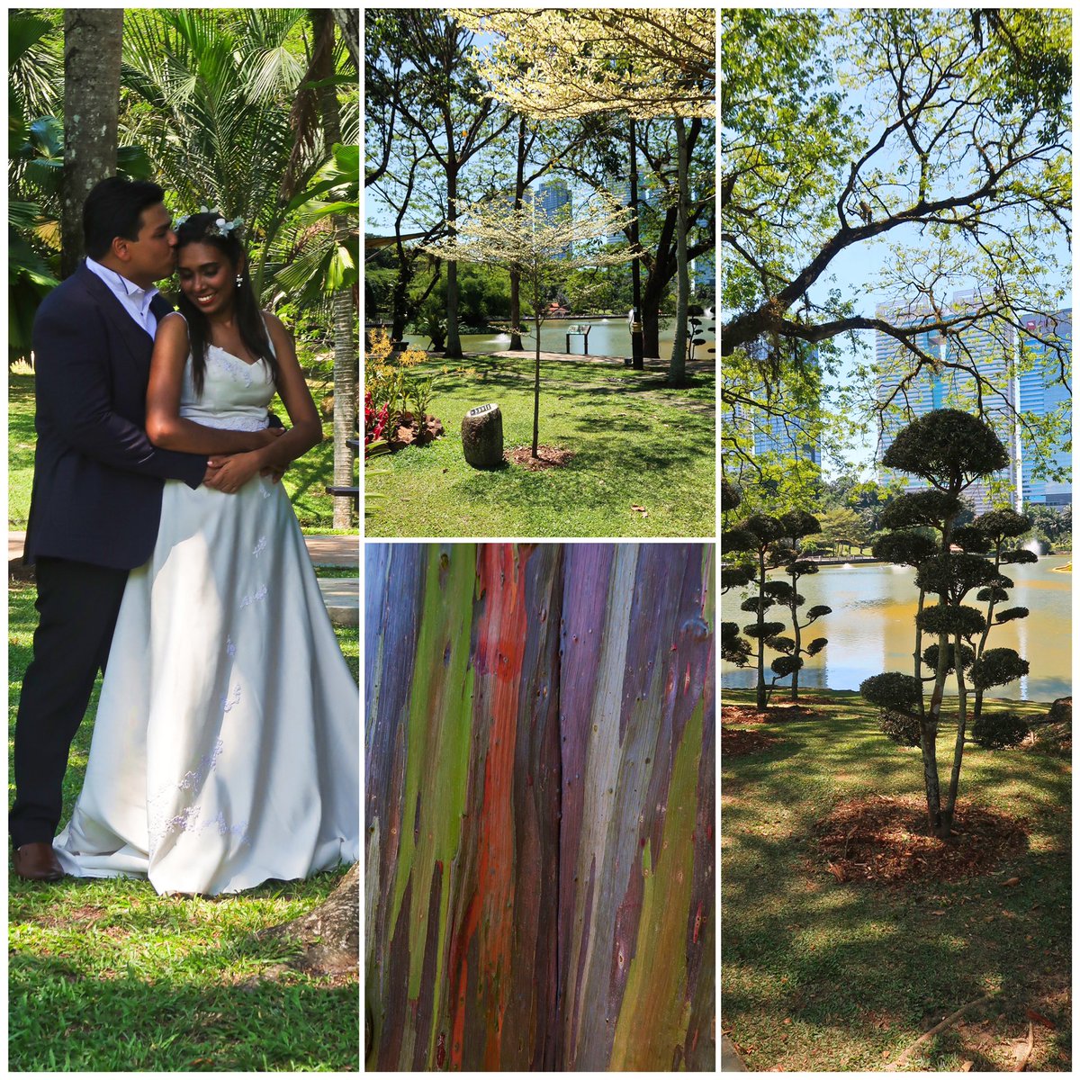 Stewart Paul tweet media