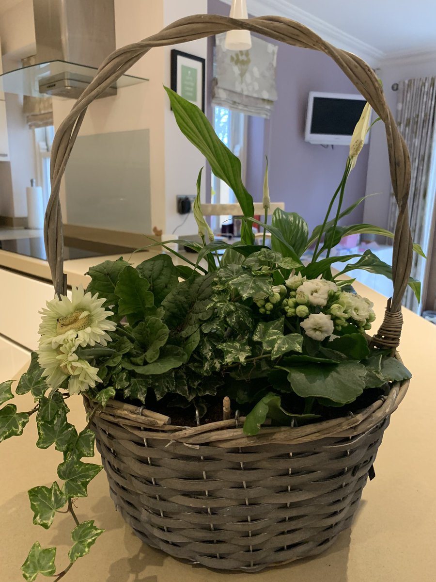 armstrongamy's tweet photo. Thank you @Sainsburyโs for todayโs #nhshour at maypole bham, managed to get a full shop! ๐๐ปyour shop was calm and fully stocked, you staff were amazing, kind and all full of smiles. The gift of these beautiful flowers was so very kind and I am forever great full. Thank you https://t.co/RSUCP6Tylk