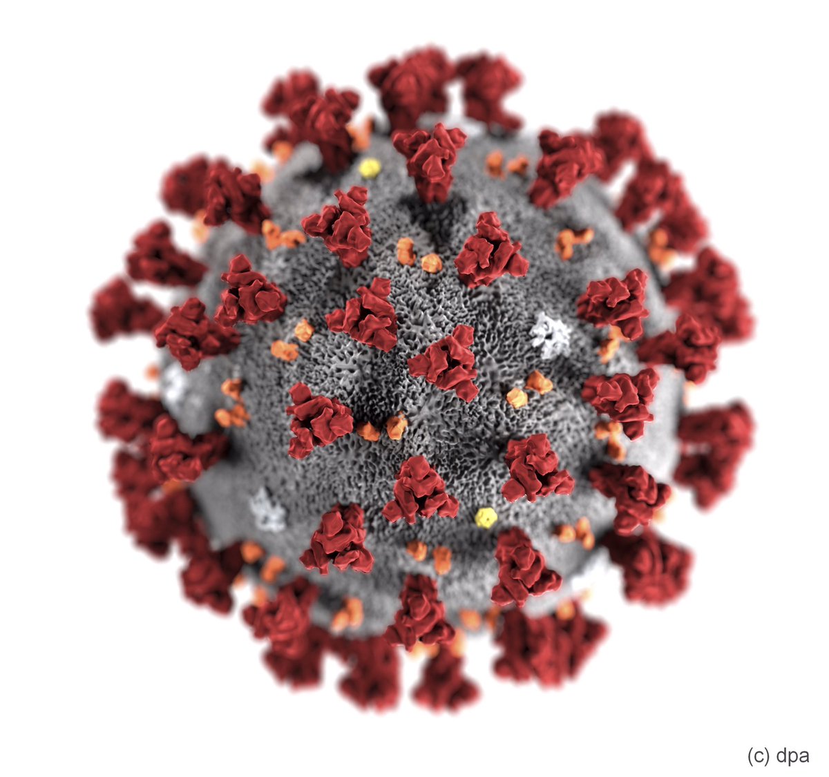 AllemagneDiplo's tweet photo. Petit lexique 🇫🇷🇩🇪 du #coronavirus #4
l'essoufflement: die Kurzatmigkeit
la période d'incubation: die Inkubationszeit
la pneumonie: die Lungenentzündung
la toux: der Husten
les troubles respiratoires: die Atembeschwerden
#restezchezvous #keepcalmandlearngerman https://t.co/l2B2GjKZBq
