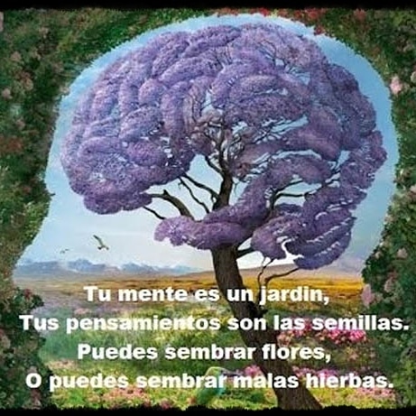 Laura Fernandez Benito on Twitter: "¿Con qué "riegas" los pensamientos de  tu mente?, ¿Qué crece en tu jardín?, ¿Empleas el "fertilizante" para  sembrar flores o malas hierbas? #coach #coaching #pnl #mente #jardín #