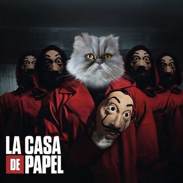 Pawsposing tweet media