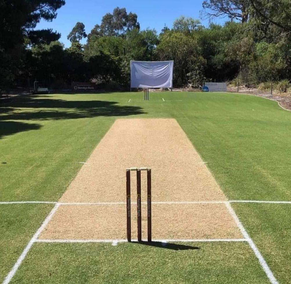 cricketdistrict's tweet image. We have a winner. The best backyard in the world. 😍🏏

[via Dylan Hadfield]