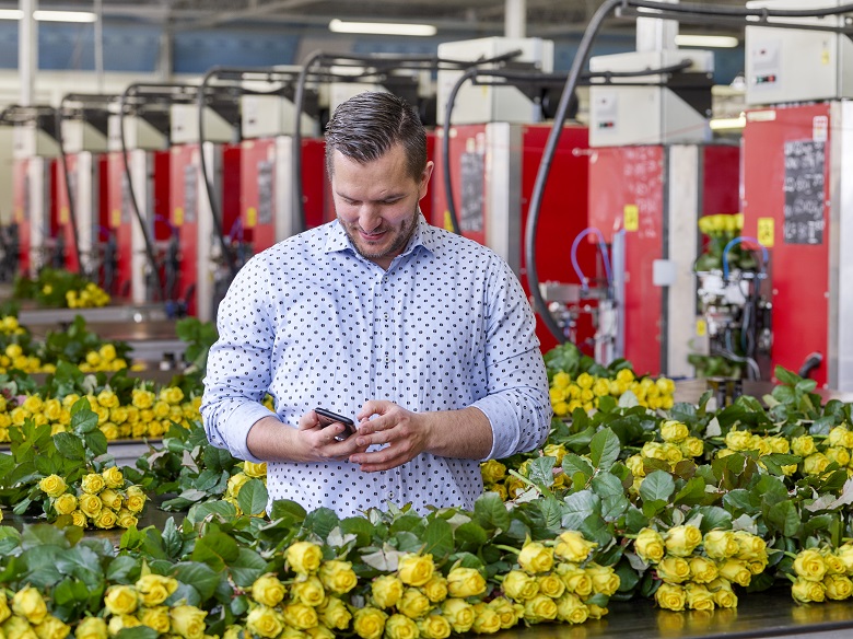 FloraHolland's tweet photo. Een groot aantal kwekers wil graag alle verkopen direct vanuit Floriday doen. Dit betekent dat zij hun klokleveringen én de afhandeling van hun directe verkoop leveringen willen aanmaken in Floriday. We geven u een update over deze functionaliteit. https://t.co/DqfotqYkL3 https://t.co/otmhRtCujK