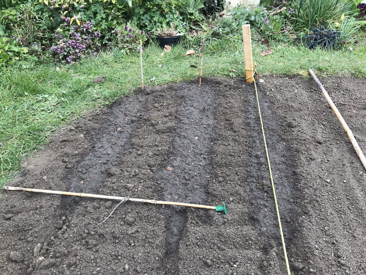 Grow your own. This pandemic has finally allowed time to start a vegetable patch. Goodbye lawn, hello worms. 

Carrots, Lettuce, Beetroot sown so far, more to come

growyourownvegan.com

#growyourown #vegan