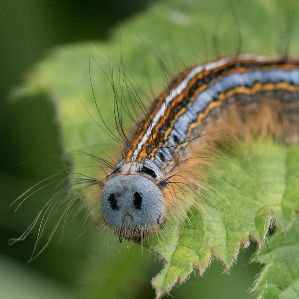 Turn that frown upside down #BBCCountryfileMagPOTD
