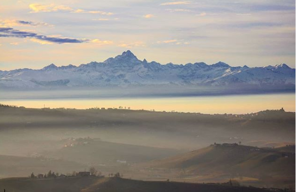 Langhe tweet media