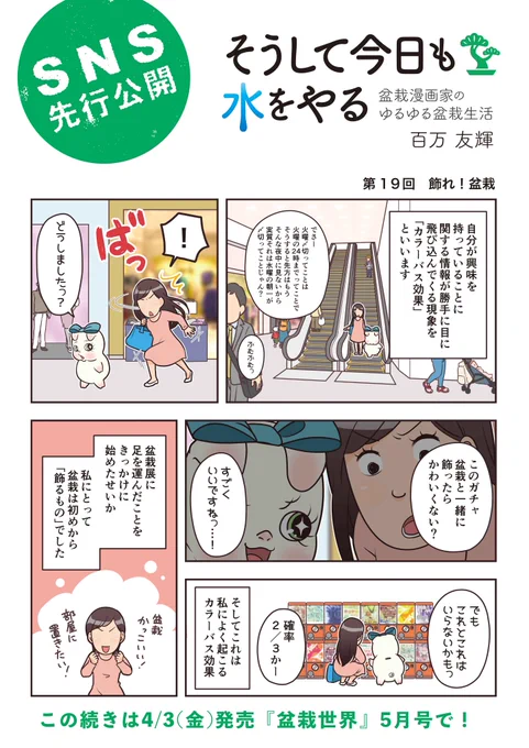 【盆栽世界5月号は本日4/3発売!】
盆栽エッセイ漫画『そうして今日も水をやる』。今回はツイ盆展の中の人でもある私の「飾ること」への想いを語るよ。

本誌はなんと創刊50周年!長く愛される雑誌での連載はほんとにありがたいことです。特集は「楓の面白さ」「雑木の雄」。 #水やる #盆栽 #bonsai 